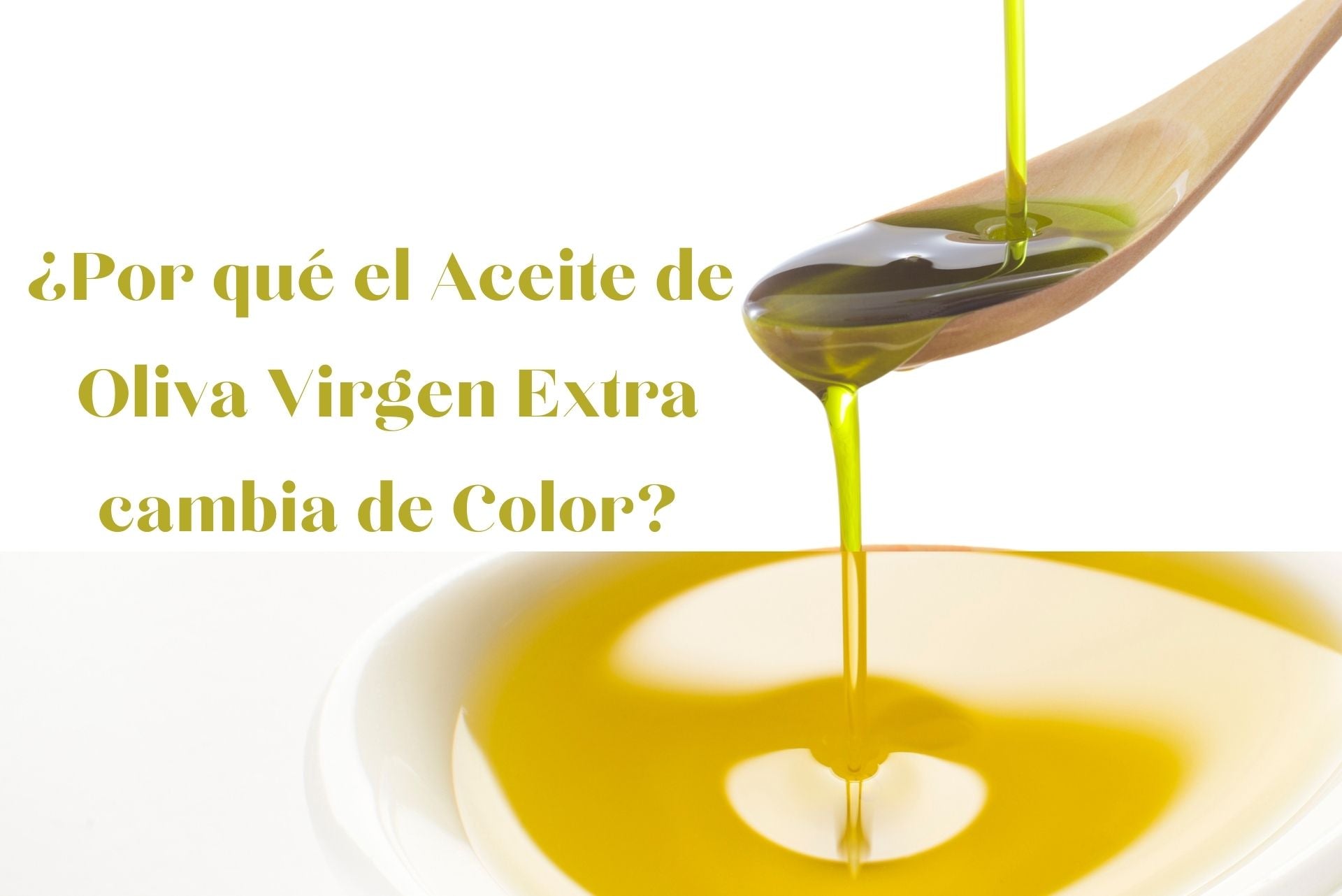 El Color del Aceite de Oliva Virgen Extra: Causas de Cambio y Factores Influyentes