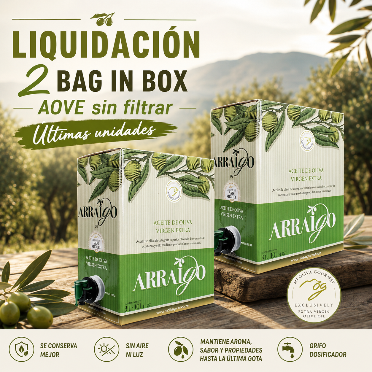 Arraigo Sin Filtrar  - Nueva Campaña 2025/26