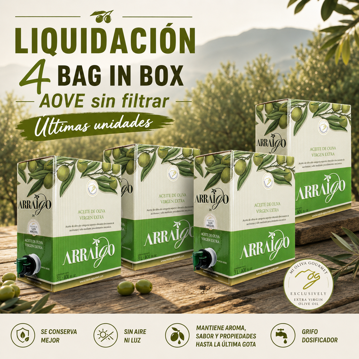 Arraigo Sin Filtrar  - Nueva Campaña 2025/26